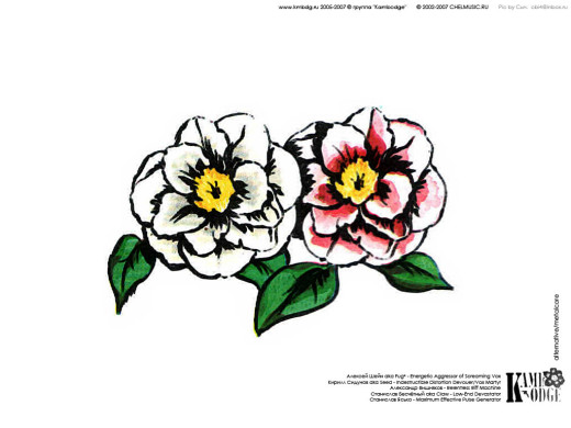 389486 (a): :1024x768